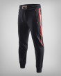 Sports pants in dark blue, grey and burgundy model 231499