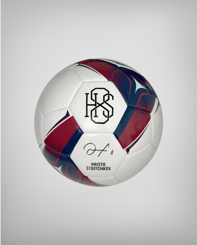 Професионална футболна топка в синьо и бордо
